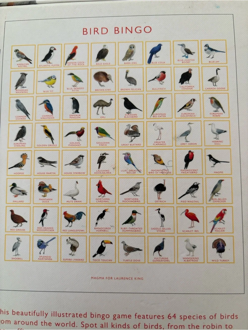 Anthropologie Bird Bingo Game - Illustrated Bird Matching Game (White & Red)